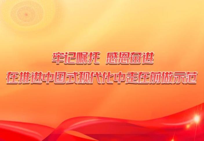 牢記囑托，感恩奮進，在推進中國式現(xiàn)代化中走在前做示范